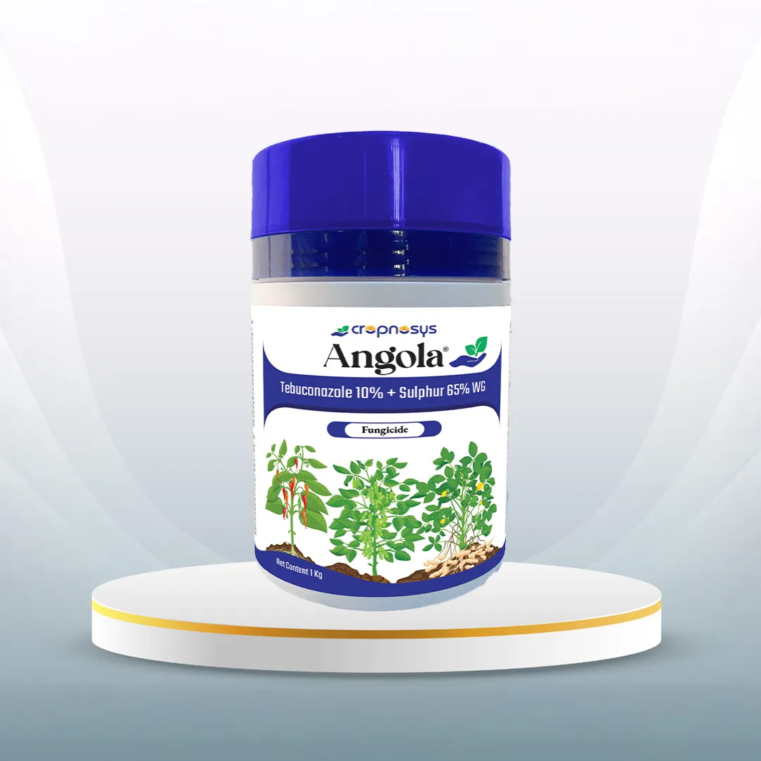 Angola™