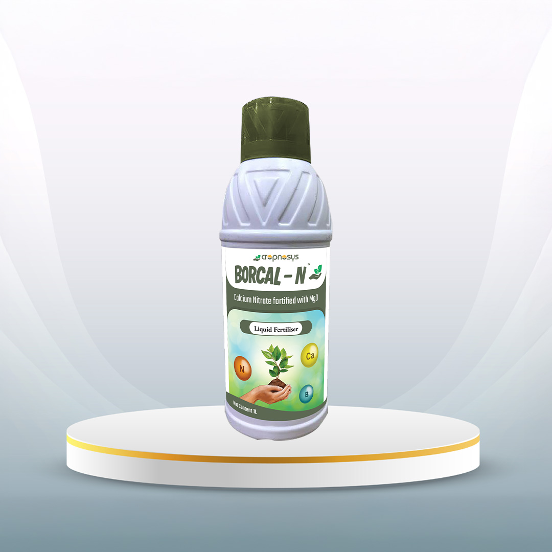 Borcal-N