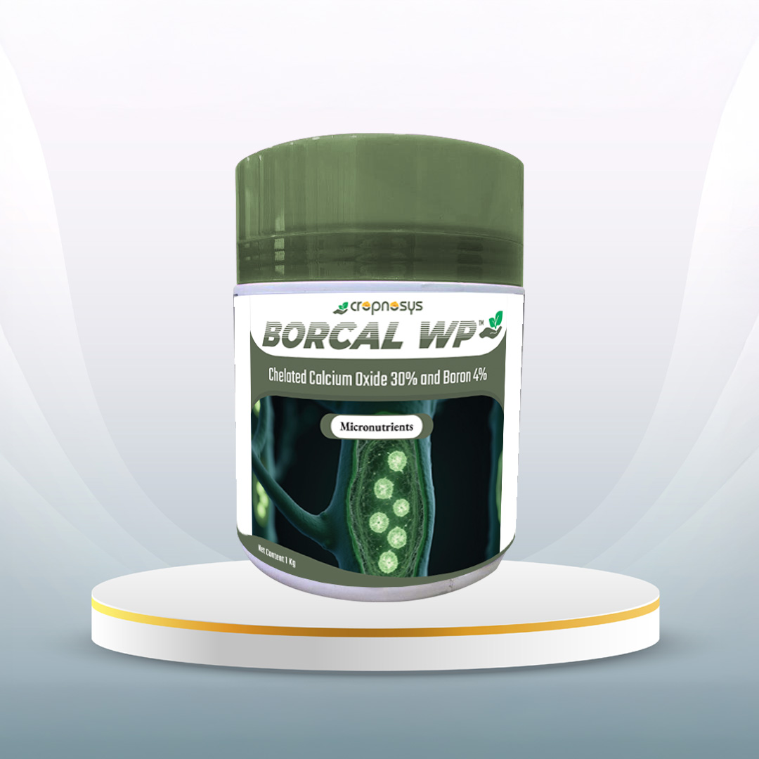 Borcal WP
