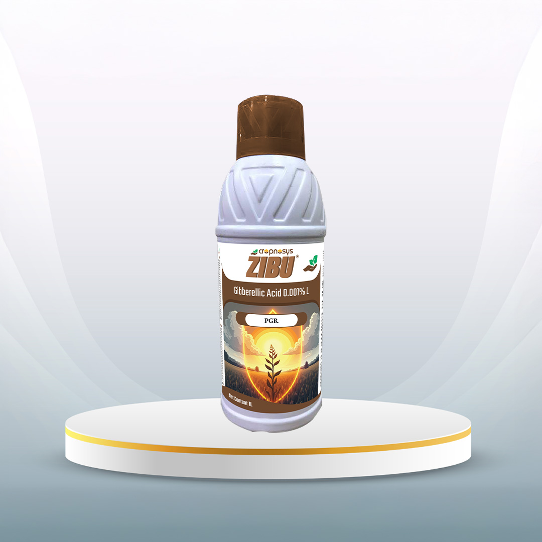 Zibu™