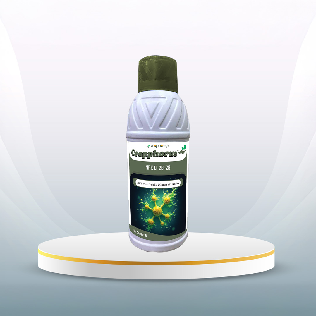 Cropphorus