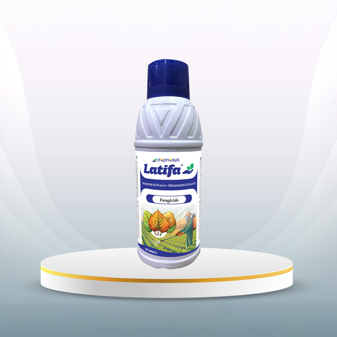 Latifa™