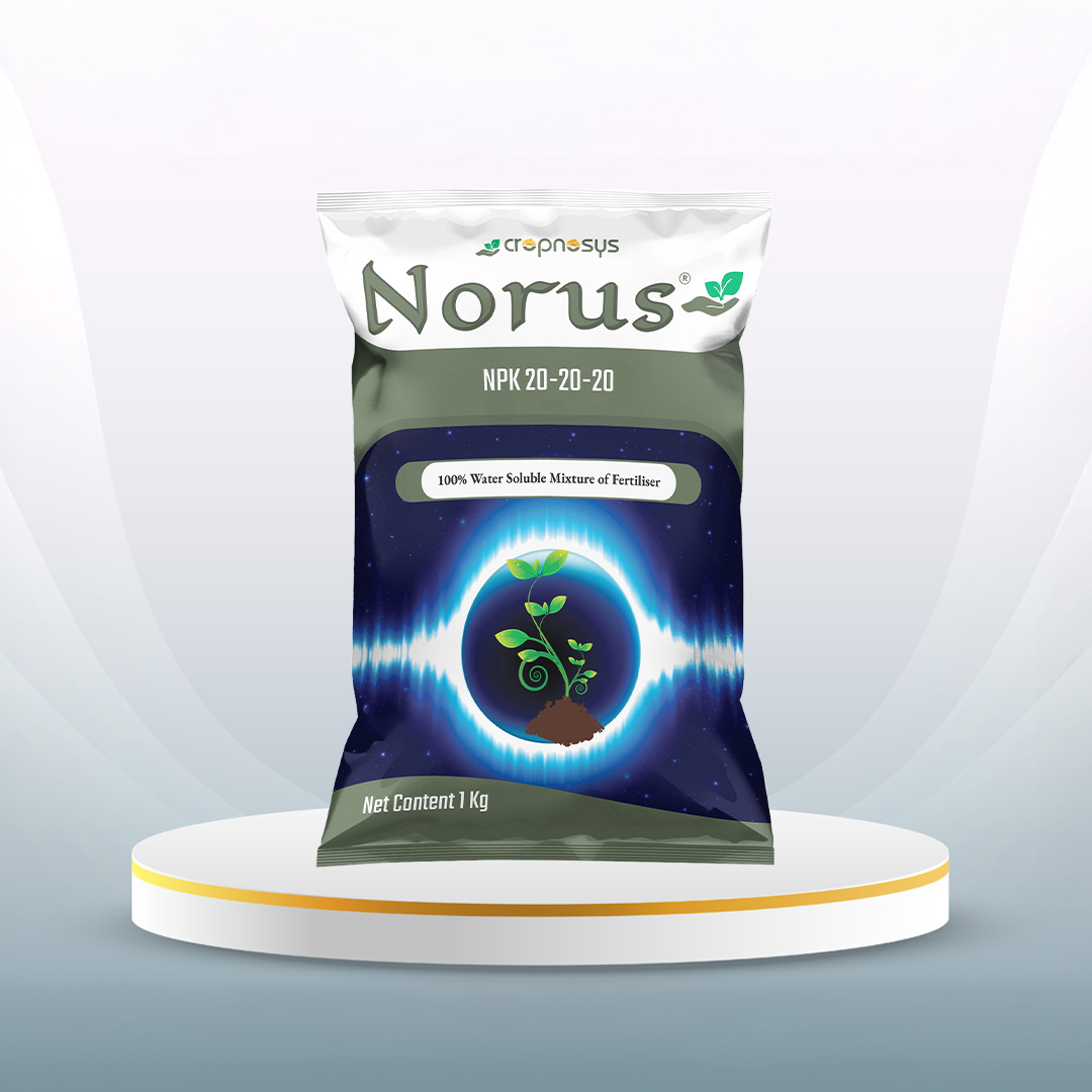 Norus™